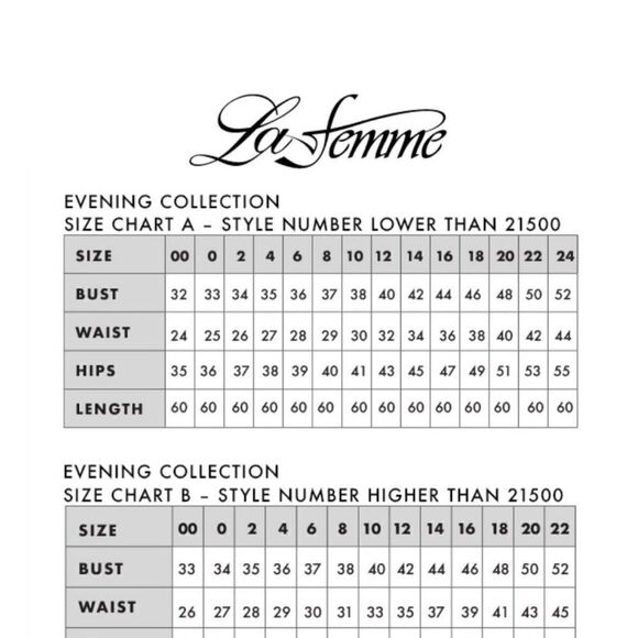 La Femme 27922 Beaded Lace Tulle A-Line Gown Maxi Blush Size 6 NEW $578 - Picture 8 of 8